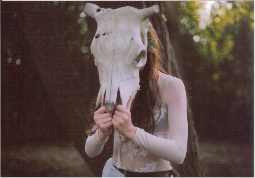 lyricalsycamore:  untitled by emilywind on Flickr.