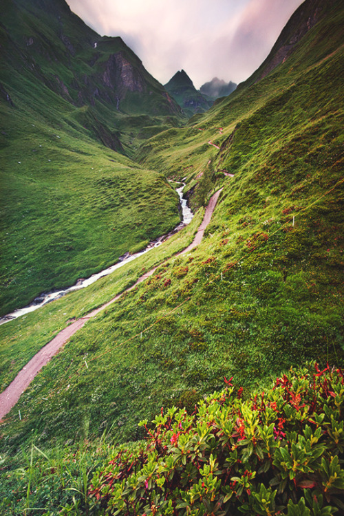about-epic:  Spring | AE
