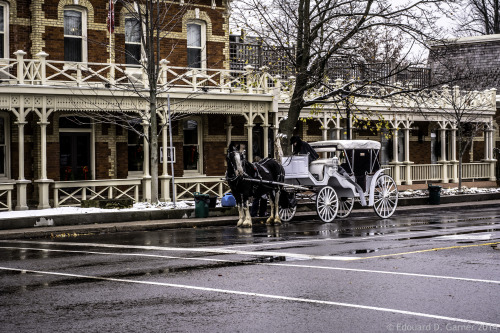 Horse and carriage outside the Prince of Wales hotel in Niagara on the Lake