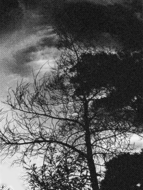 matiasywea.tumblr.com/post/86942983621/