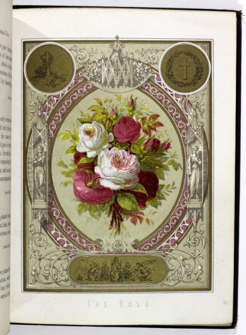 michaelmoonsbookshop:The Mystical Flora of St Francis de SalesDublin 1877[Sold]
