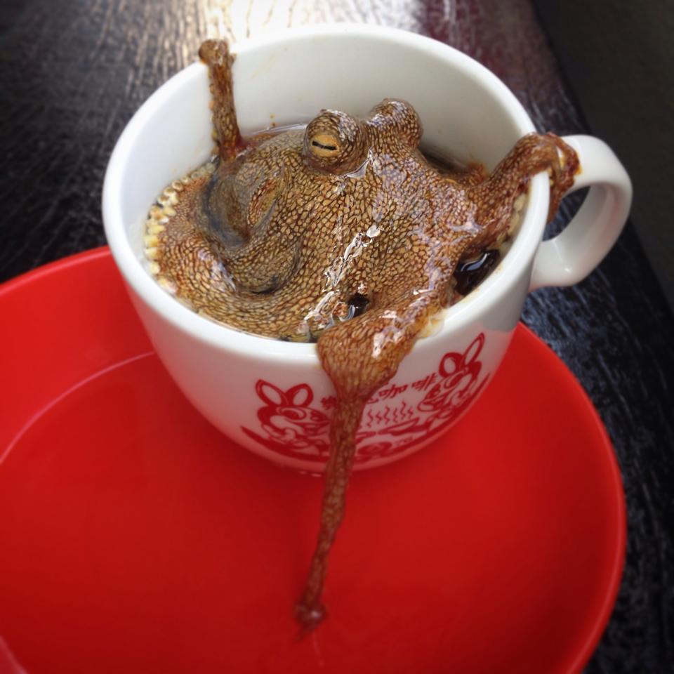 holdmyhat:  okashido:sixpenceee:These hyperrealistic 3D animals were painted in layer