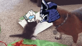 jyanee:  Hold still…plz I want to touch you Cyclonus 8ㅁ8 made this for @ddaroll