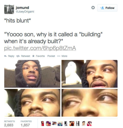 dynastylnoire:robregal:yourlilmamii:lovingthystruggle:best-of-memes:Hits bluntThe last one bruh lolO