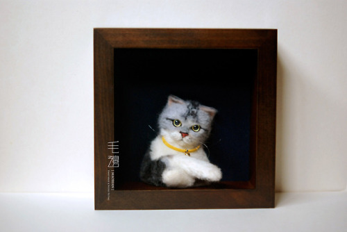 ▋ Exotic Shorthair ( custom-made )Pet Portrait  Frame is approximately 18 x 18 cm