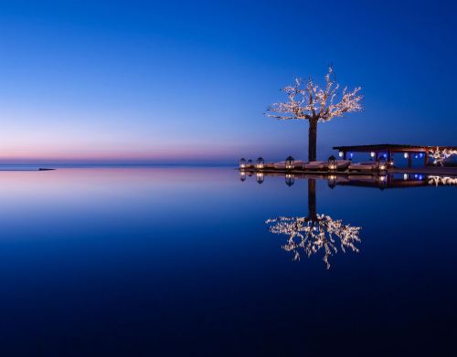 “Arbol,” Las Ventanas al Paraíso, San Jose del Cabo, Baja California Sur, Mexico