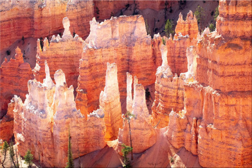 Bryce Canyon by Catsbow It was like the white parts were lit within. flic.kr/p/2hrS2hy