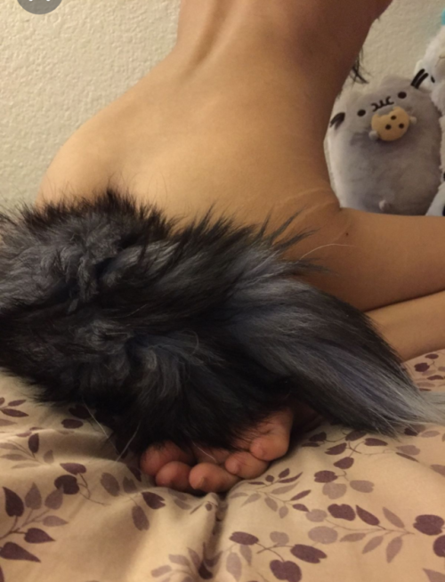 tailpluggirl: kushkatt:Reblog by: @cat-and-wolf 