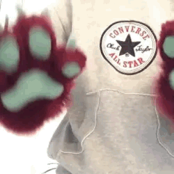 red fur with blue pawpads. the person wearing claps and then wiggles their fingers