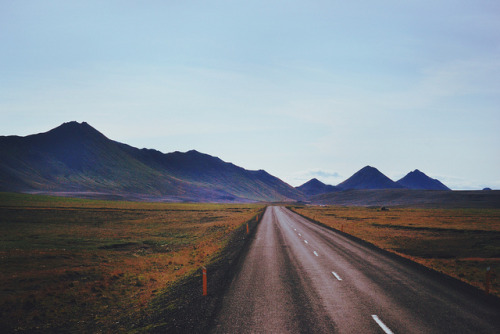 blanchibou:  “I want to make memories all over the world.” by Shineswithoutend. on Flickr.