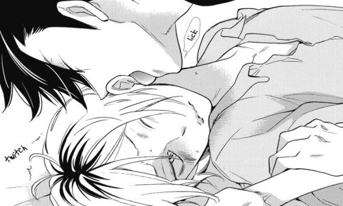 YAOI FANGIRL