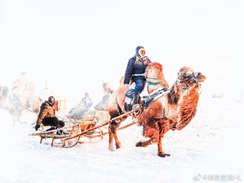 Winter life for people living in Buryat, Hulun Buir Grassland. Photo by 诺恩吉雅HL.