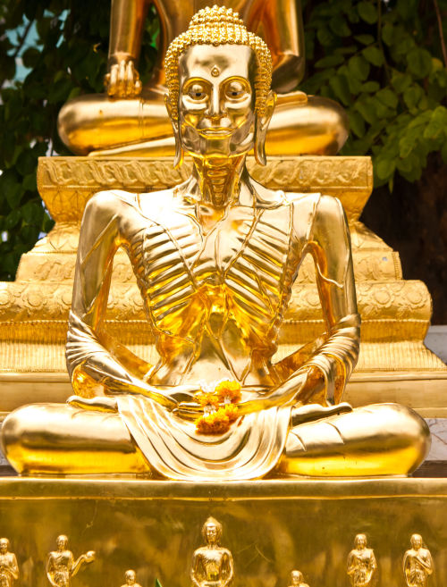 Fasting Buddha, Thailand