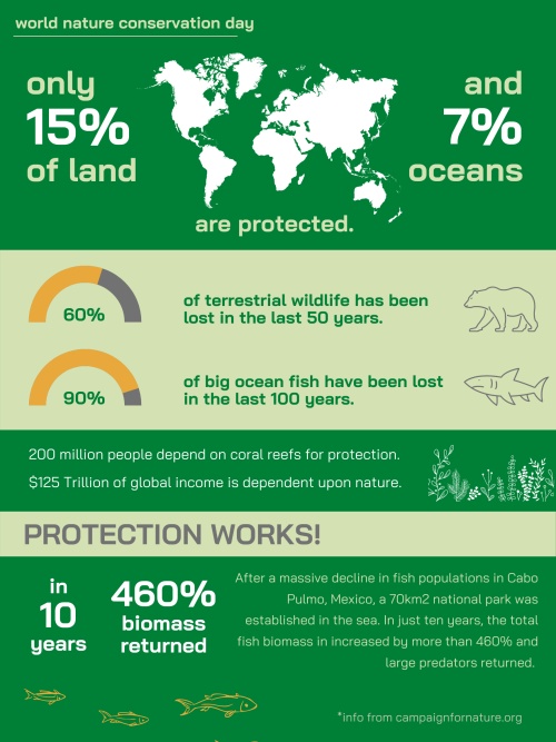 Happy world nature conservation day!I made a lil infographic to celebrate!!