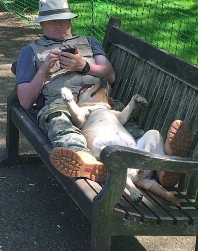 Porn Pics itsagifnotagif:Dogs really do sleep like