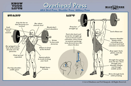 XXX ma9ur0:  “Know Your Lifts” is an illustrated photo