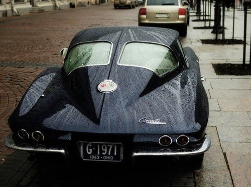 American Muscle Power