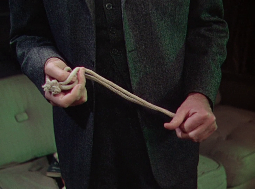 Rope (1948)Directed by Alfred HitchcockCinematography by William V. Skall and Joseph A. Valentine “T