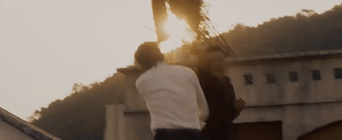 Master Z - Ip Man Legacy (2019)