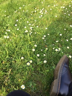 plnts:  making daisy chains 