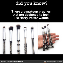 did-you-kno:  There are makeup brushes  that