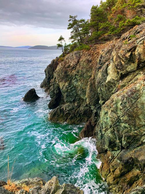 oneshotolive:  The view from Sharpe Park on Fidalgo Island, San Juan Islands. [OC] [1536x1920] 📷: fixtheclownbackagain 