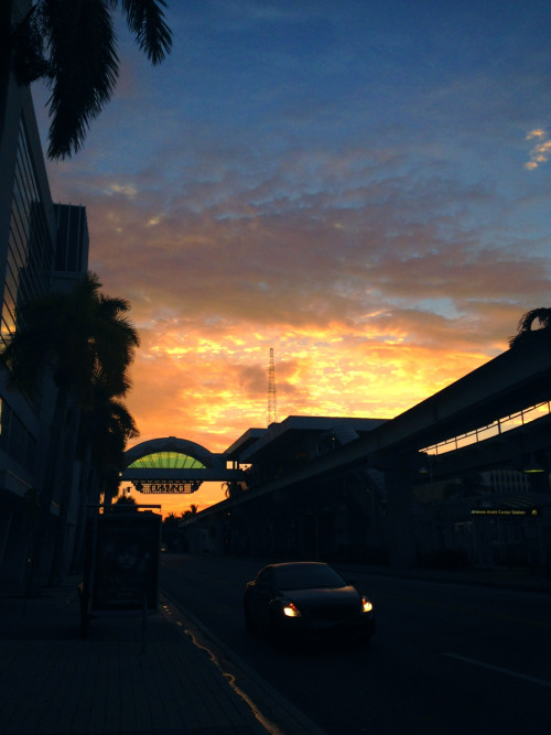 mastachai:  Sunrise Concrete Jungle