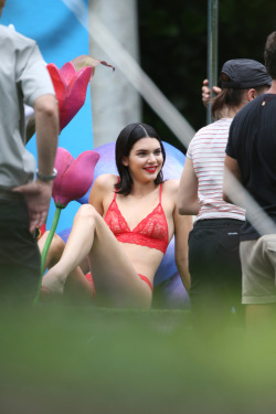 Kendall Jenner See Through Lingerie Shots
