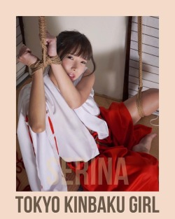 koakian:  4月29日 フェチフェス13にて販売予定 SerinaさんのフォトROMに小秋庵を使用しています。  01. miko girl 紅葉の間より  model: Serina rope : KAITO photo : AKIZUKI  #緊縛 #縛り #フェチフェス #写真スタジオ