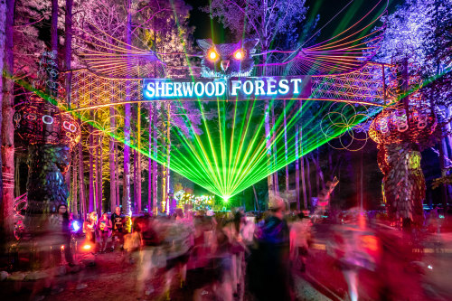 electricforestfest:Shh… The Forest has them now.