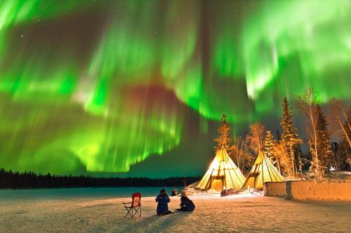 nubbsgalore:  camping under the aurora australis (first pic) and borealis, photographed by (click pic) greg harvey, ol chul kwan, patrick cullis, kevin schafer, matthias breiter and linda drake (more posts of the aurora) 