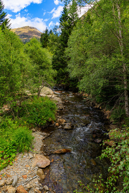 nature-hiking: Pyrenean mountain stream 36-40/?  - Haute Route Pyreneenne, August 2019photo by 