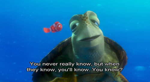 so-relatable-blog:  Teen? You should definitely check out this blog! 