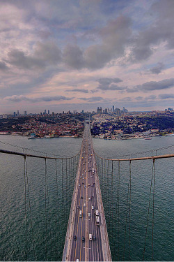 foresity:  istanbul || fethi turgut 