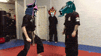 happygoldfish:  There’s a reason Whirl was a wrecker.  This was made for an anon