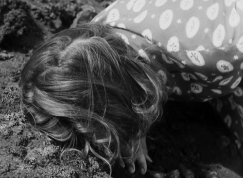europa51: Stromboli (1950), dir. Roberto Rossellini #2016