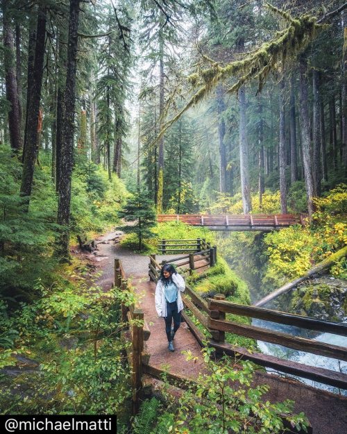 visitportangeles:  “Heaven is under our feet as well as over our heads.” - Henry David Thoreau   Awesome photo of @thewildindiangirl checking out #SolDucFalls by @michaelmatti ✌️  #visitportangeles #olympicnationalpark https://instagr.am/p/CGqihRupI2x/