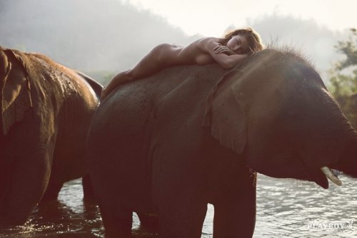 https://amazinggirlsphotos.tumblr.com/post/157907653393