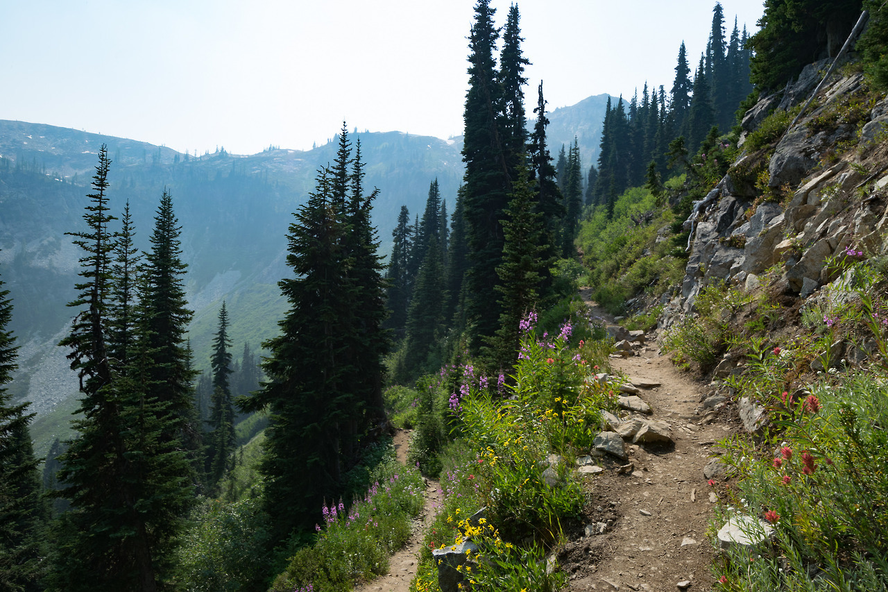 90377:Washington Hikes - Maple Pass Loop by clauretano