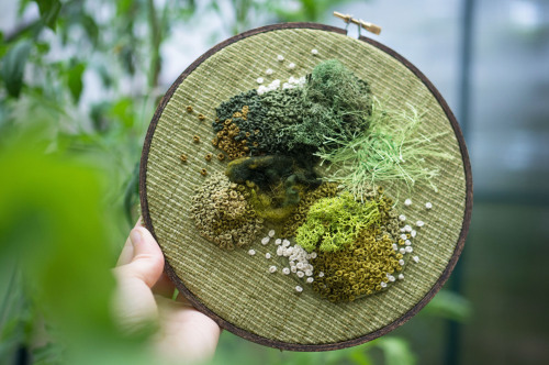 leavingmybody:some of my favorite moss embroideries 
