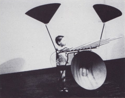 frankieteardrop:  Sound sculpture - part of A Noise In Your Eye by the Baschet Brothers from cactusmouthinformer  