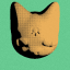 cat-avi