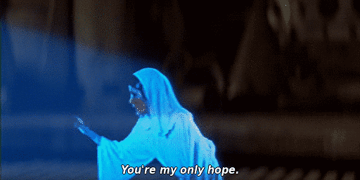 [Image: tumblr_mwhtrkf8JR1sl21koo1_540.gifv]