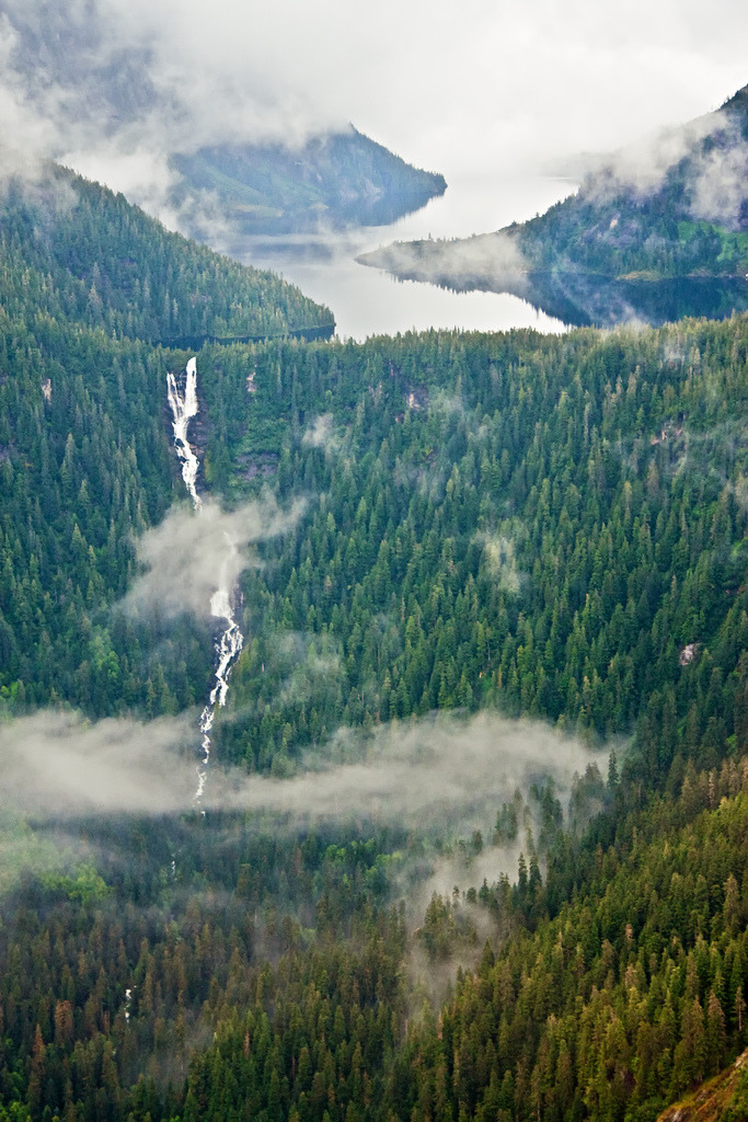 woodendreams:  (by Royce Bair) 