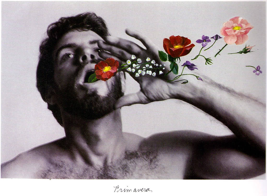 vvolare:  &ldquo;Primavera&rdquo; Duane Michals 