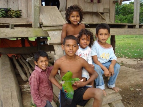 historylover1230:Miskito- The Miskitos are a Central American people found predominantly in Nicaragu
