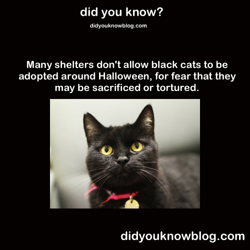 did-you-kno:  Source