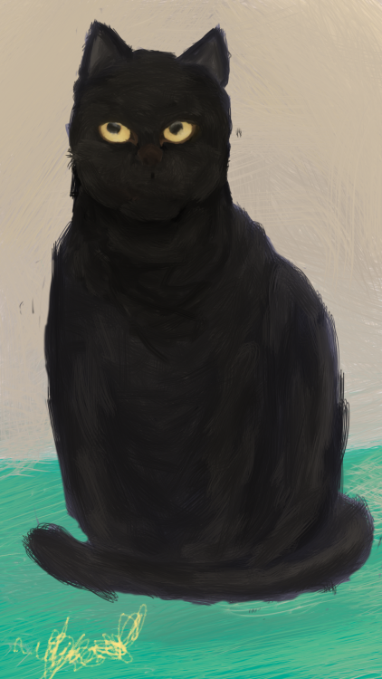 halloweenpjs: @mostlycatsmostly i did a lil digital painting of my grandma’s cat for her for x