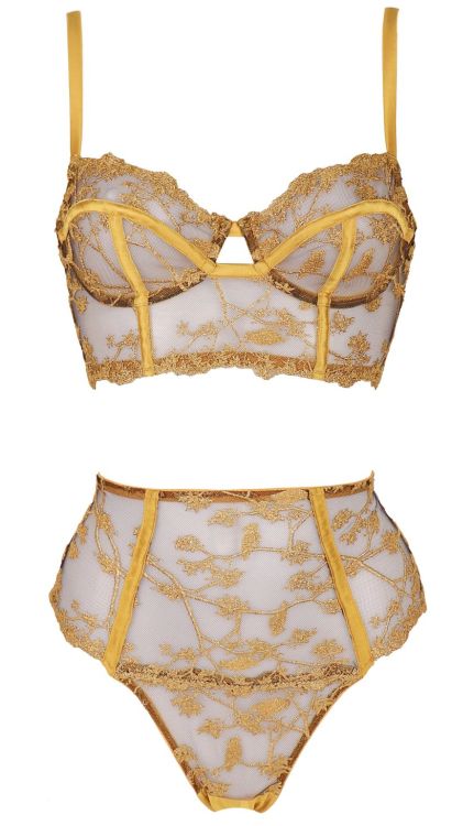 Martysimone:  Studio Pia | Yuna • Embroidered Sheer Tulle + Gold Silk | Fall Winter