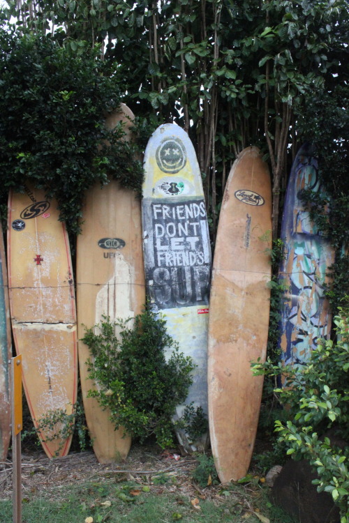 Surfboard fences&hellip;